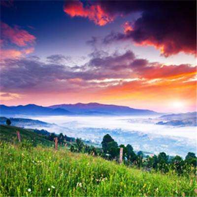 全省现代化边境幸福村巩固提升推进会在西双版纳傣族自治州勐海县召开